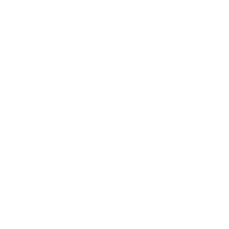 mealX